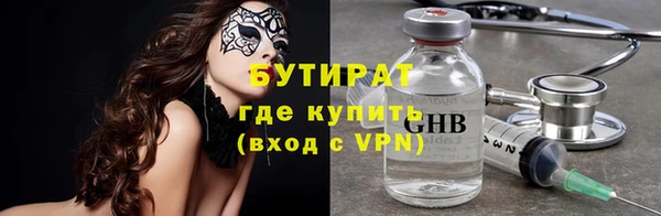 трава Коряжма