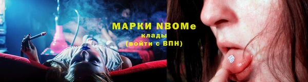 трава Коряжма