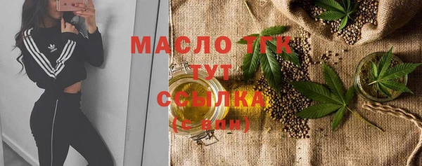трава Коряжма