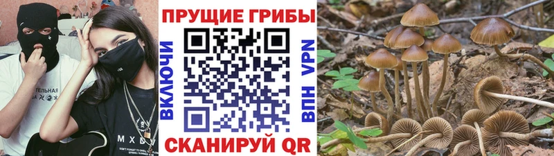 mega маркетплейс Красноармейск Галлюциногенные грибы мухоморы цена