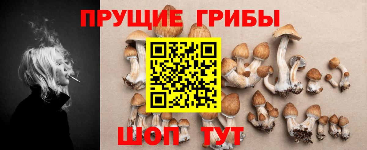 Галлюциногенные грибы мухоморы Красноармейск